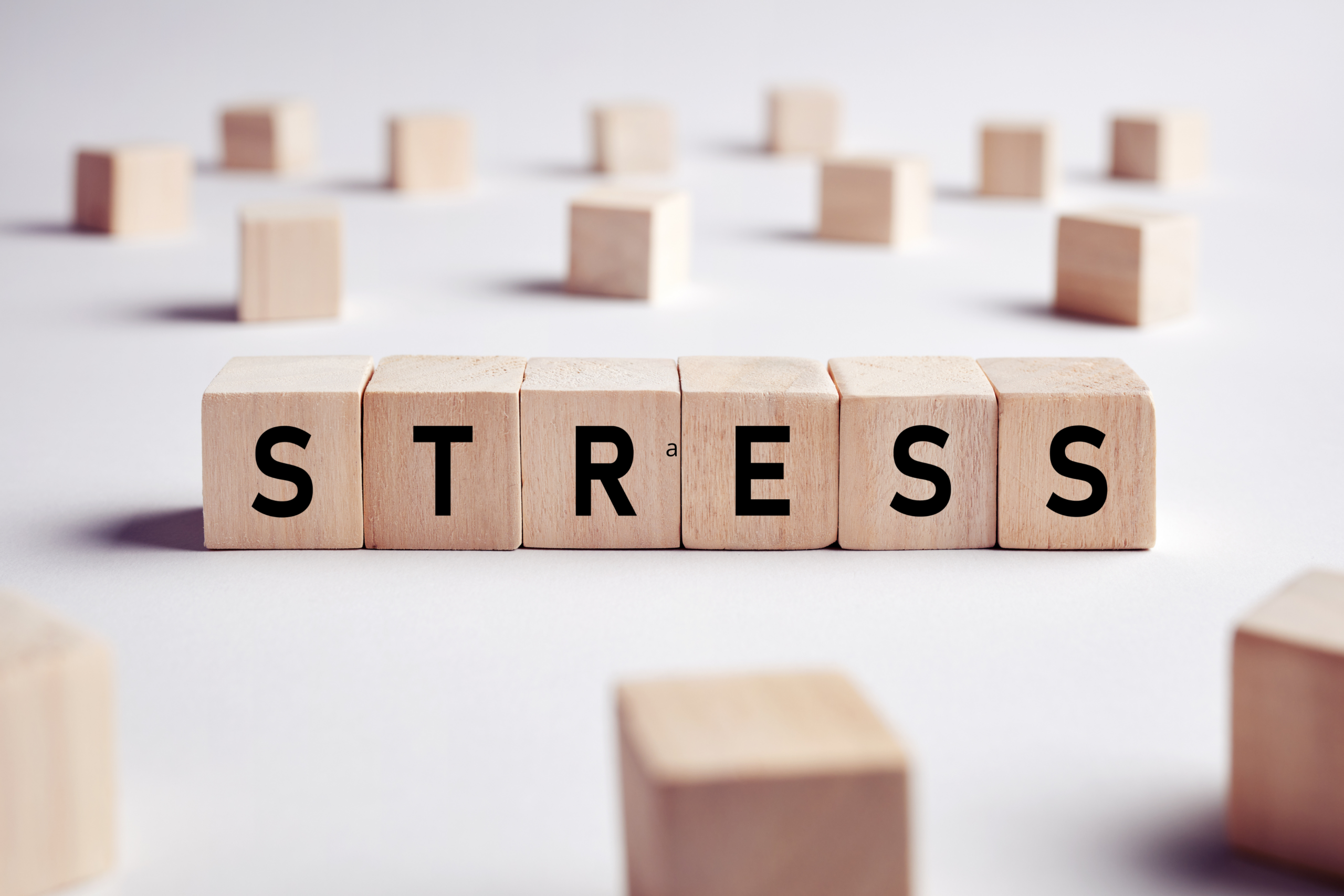 image stress Nov 2026 (1200 x 800 px)